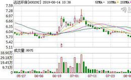 远达环保：连续10日融资净偿还累计1751.13万元（08-13）