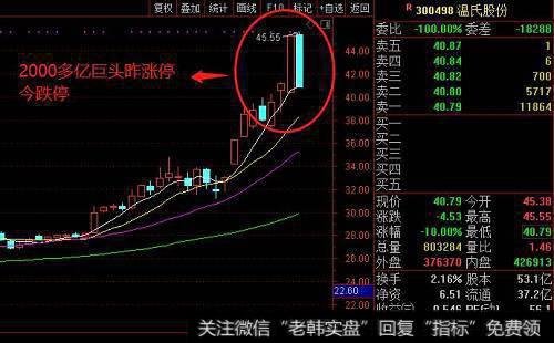 在跌势中捕捉龙头股的原因是什么？