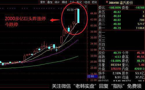 在跌势中捕捉龙头股的原因是什么？