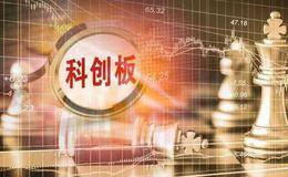 专家：科创板企业要利用好IPO募集资金