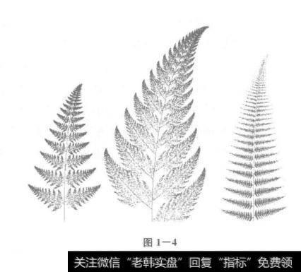 股指的天然决定