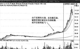 如何进行花哨理论的非实用性剖析？