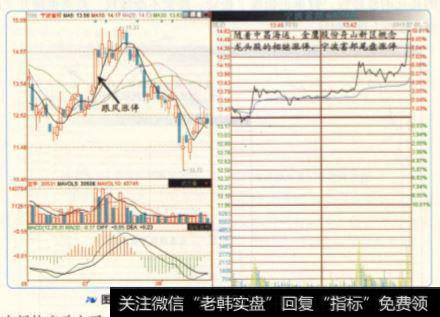 非龙头股