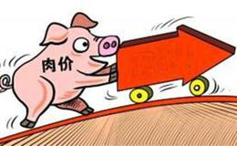 猪肉价格为何连续快速上涨？