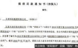 大亚圣象大股东陷资金困局 3亿担保、3.69亿借款逾期