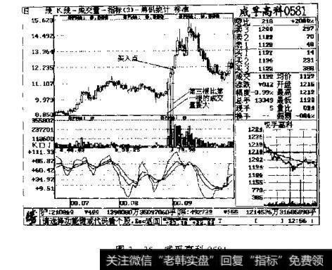 图3一35威孚髙科0581