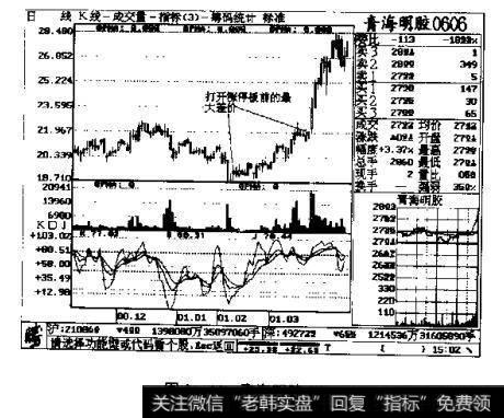 图3-44 青海明胶 0606