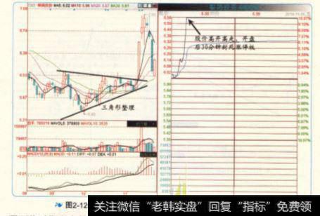 银鸽投资