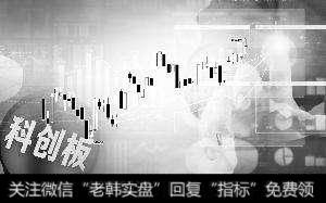 科创板“满月”调研升温 外资机构关注“硬核”