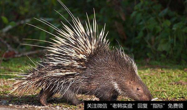 低位周期+业绩活跃，冲高注意减仓