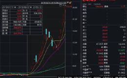 14个涨停飙升近300%！中国最神秘富豪拿下这家A股 身家1100亿！