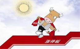 固定资本资金管理下的外汇交易者如何进行交易？