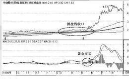 操盘手实战法则：MACD指标黄金交叉选股精要