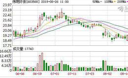 伟明环保：连续3日融资净买入累计1502.45万元（08-23）