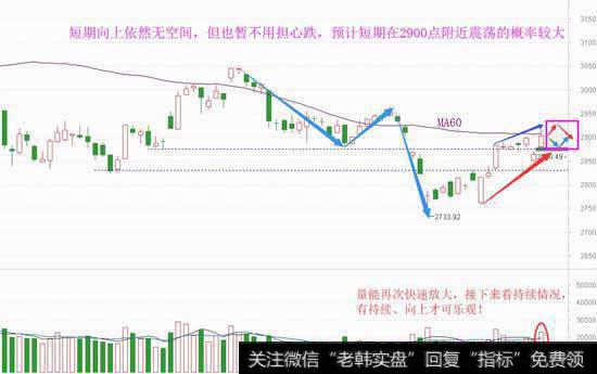 高位情绪撑下限，稳定可做个股