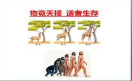 应变之道；适者生存