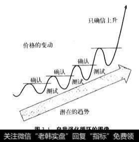 自我强化循环的图像