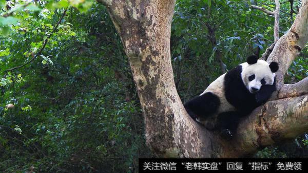 <a href='/longhubang/232072.html'>深赛格</a>9板;<a href='/shangshigongsi/282460.html'>中国软件</a>带领科技腾飞