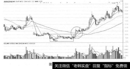 黑马启动信号