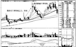 广东榕泰K线图（2010.3-2011.5）的趋势是什么样的？