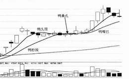 老鸭头形态技术特征及实战分析