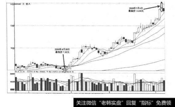 公司规模及扩张潜力？公司规模及扩张潜力分析？