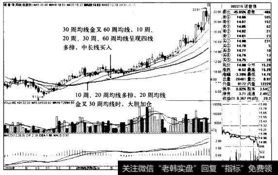 诺普信K线图(2008.7-2010.1)