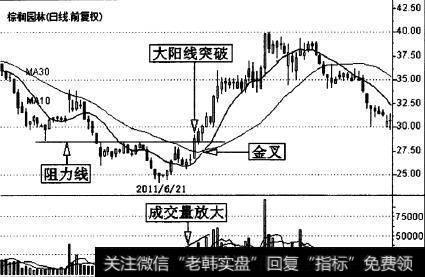 棕榈园林(002431)的一段日K线图