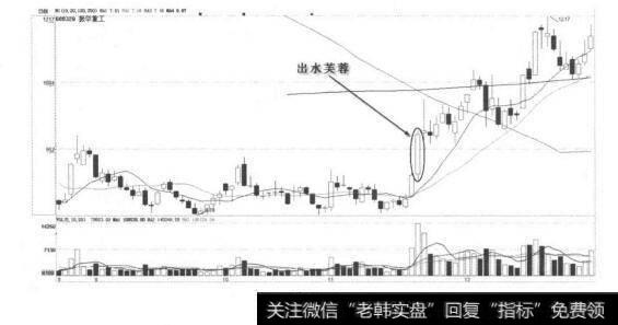 特殊形态的买点？特殊形态的买点分析？