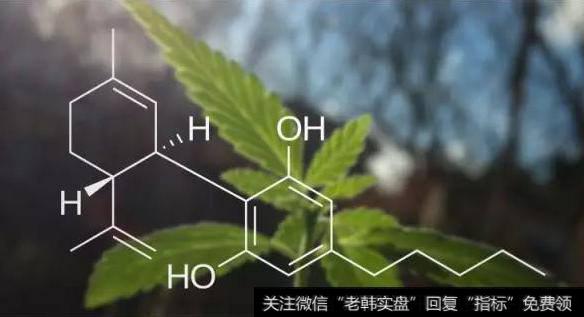 芬太尼管制进一步加强,工业大麻题材<a href='/gainiangu/'>概念股</a>可关注