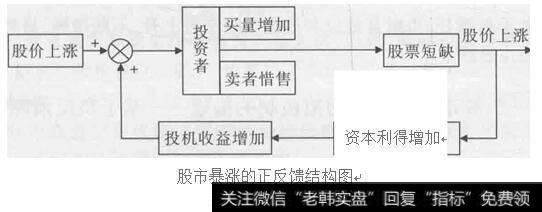 股市暴涨的正反馈结构图