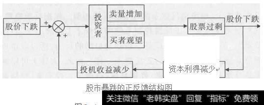 股市暴跌的正反馈结构图