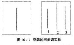 在实际的股市行情中人们会进行什么判断？