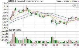 伟明环保：连续3日融资净买入累计629.89万元（09-05）