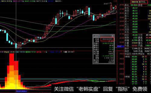 有哪些关于DPO的概述？如何利用互联网直接公开发行？