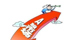 改革能否始终保证股票市场的总体质量？