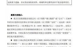 1700万借款引发破产重整 <em>庞大集团</em>卖店、裁员能否自救