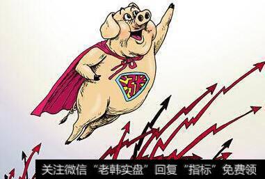 补血+造血 金融业助力打赢猪肉供给战