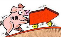 各地各部门全力保障猪肉市场供应——物价平稳有基础 生猪养殖渐恢复