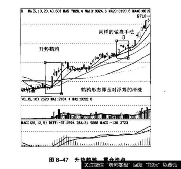 上涨两星所表达的含义？升势鹤鸦表达的意思？