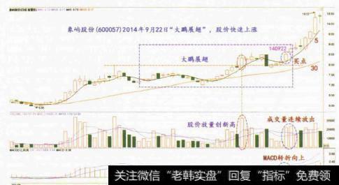 “大鹏展翅”形态主要出现在什么时候？