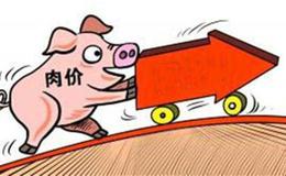济南首次向市场投放储备冻猪肉 价格会比市场价略低