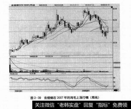 图2-39金螳螂在2007年的鸡毛上涨行情（周线）