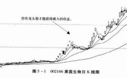 股市中擒贼擒王抓龙头