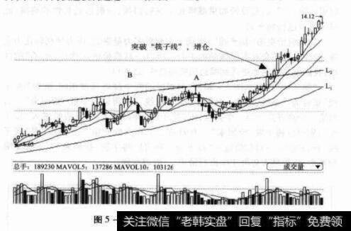 图5-31600199金种子酒日K线图