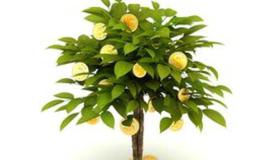 杨德龙<em>股市最新消息</em>：利好政策逐渐发酵 节后市场将延续回升态势