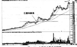 股价创新高的市场指导意义和特点分别是什么？