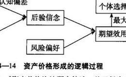 股票市场中对理性预期理论的验证？对理性预期理论的验证分析？