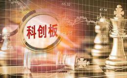江苏天奈科技股份有限公司首次公开发行股票并在科创板上市网上发行申购情况及中签率公告