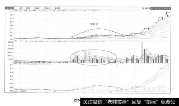 草肚皮建仓？草肚皮建仓分析？